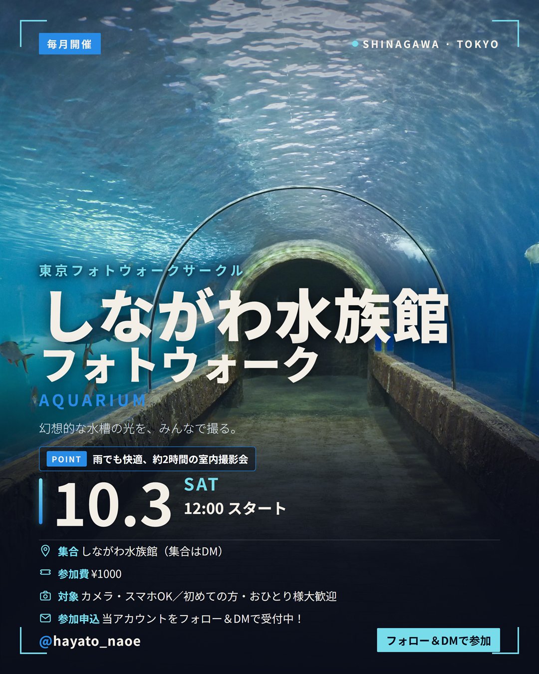 しながわ水族館フォトウォーク vol.12 フライヤー